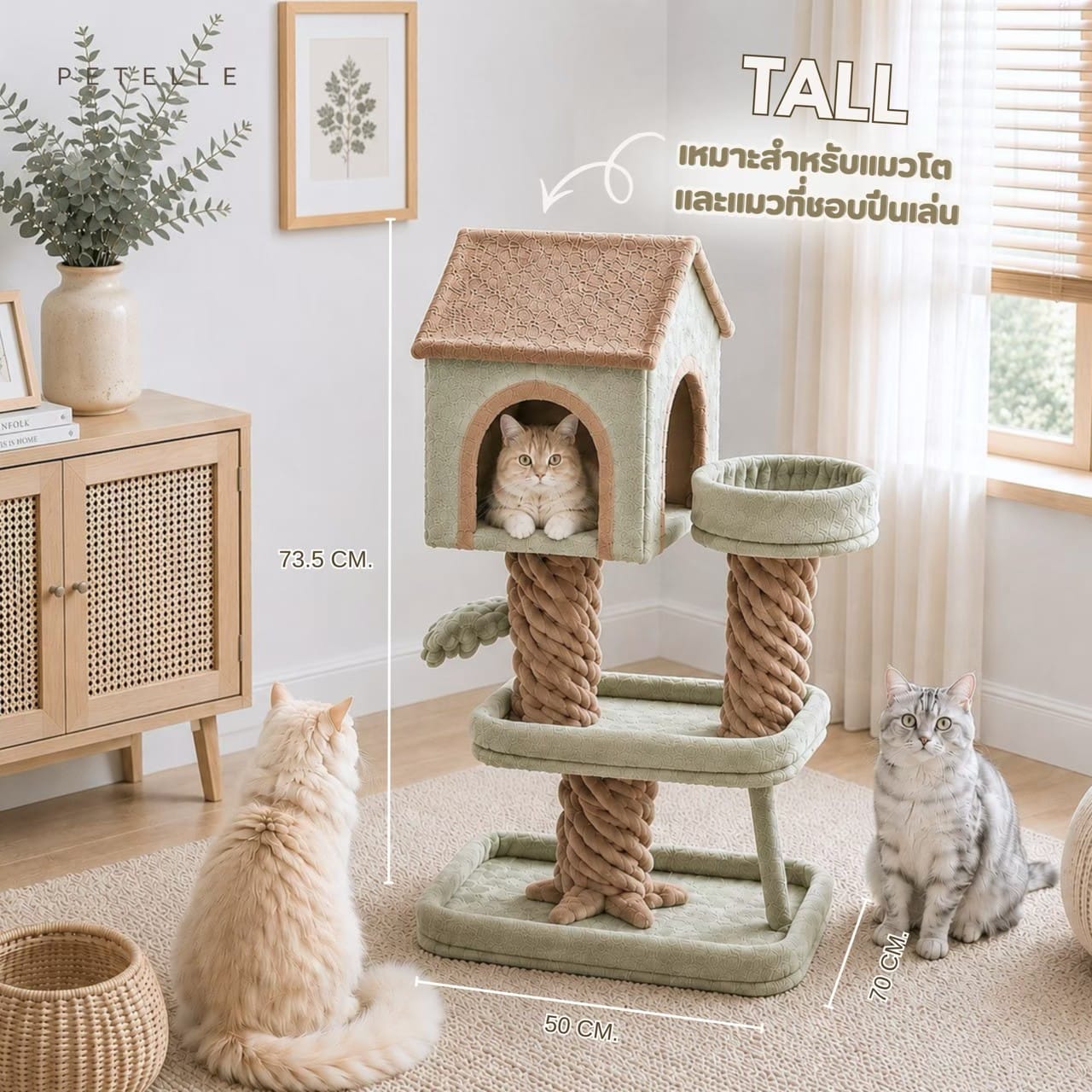 คอนโดแมวต้นไม้ PETELLE รุ่น LITTLE TREEHOUSE_4